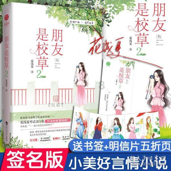 复仇机器人中文版