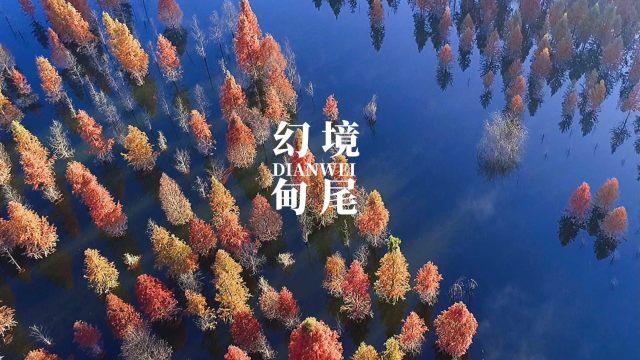 C罗晚宴菜单曝光:含波士顿龙虾、鲍鱼、东星斑、炖海螺